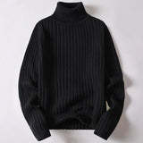 Pullover mit Rollkragen